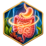 digestive