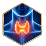 thyroid